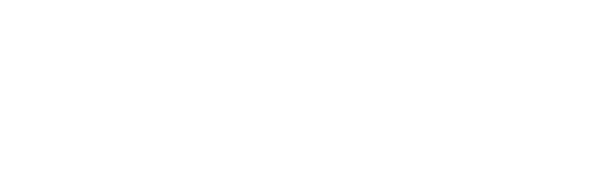 GINSUM Logo